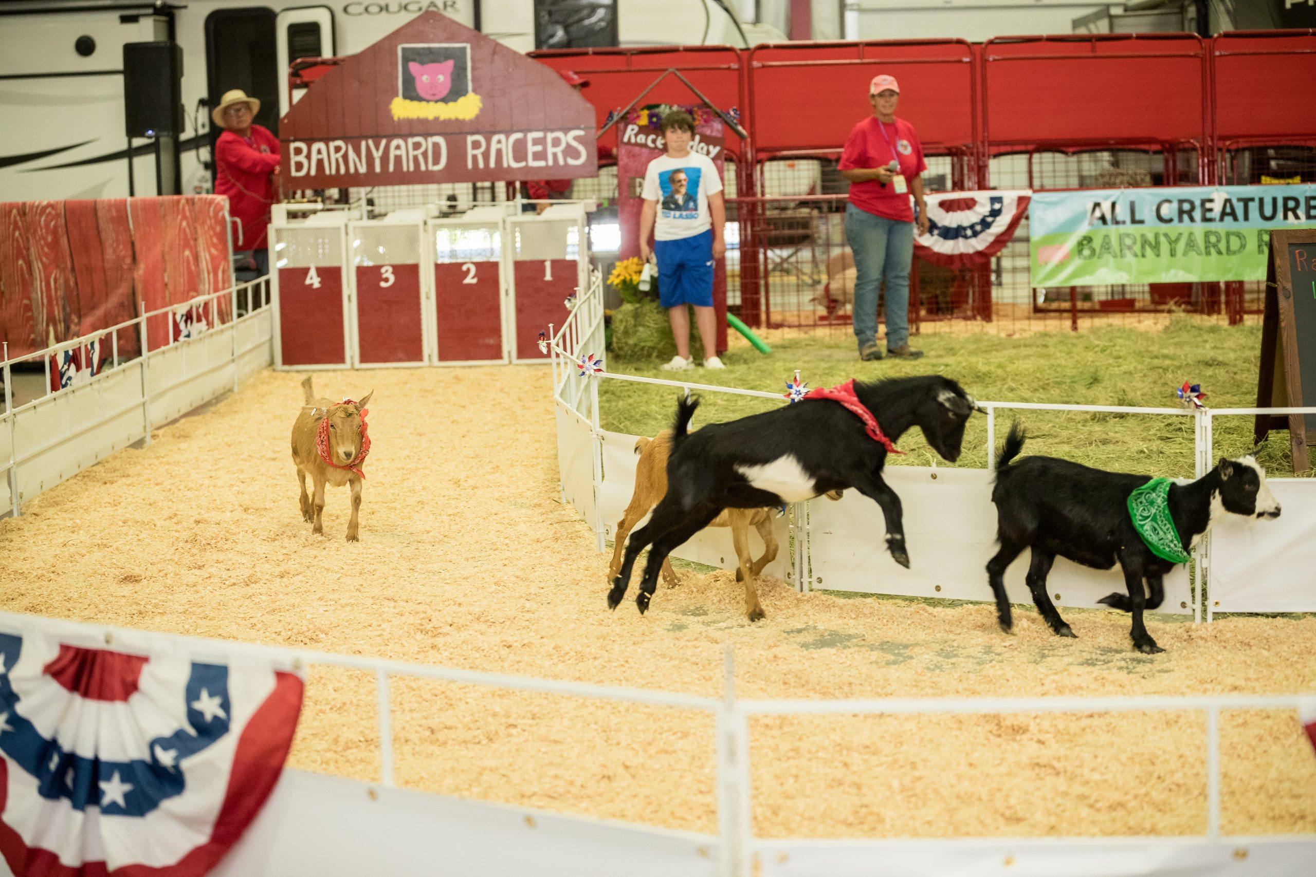 Barnyard Races - Big Sky Country State Fair