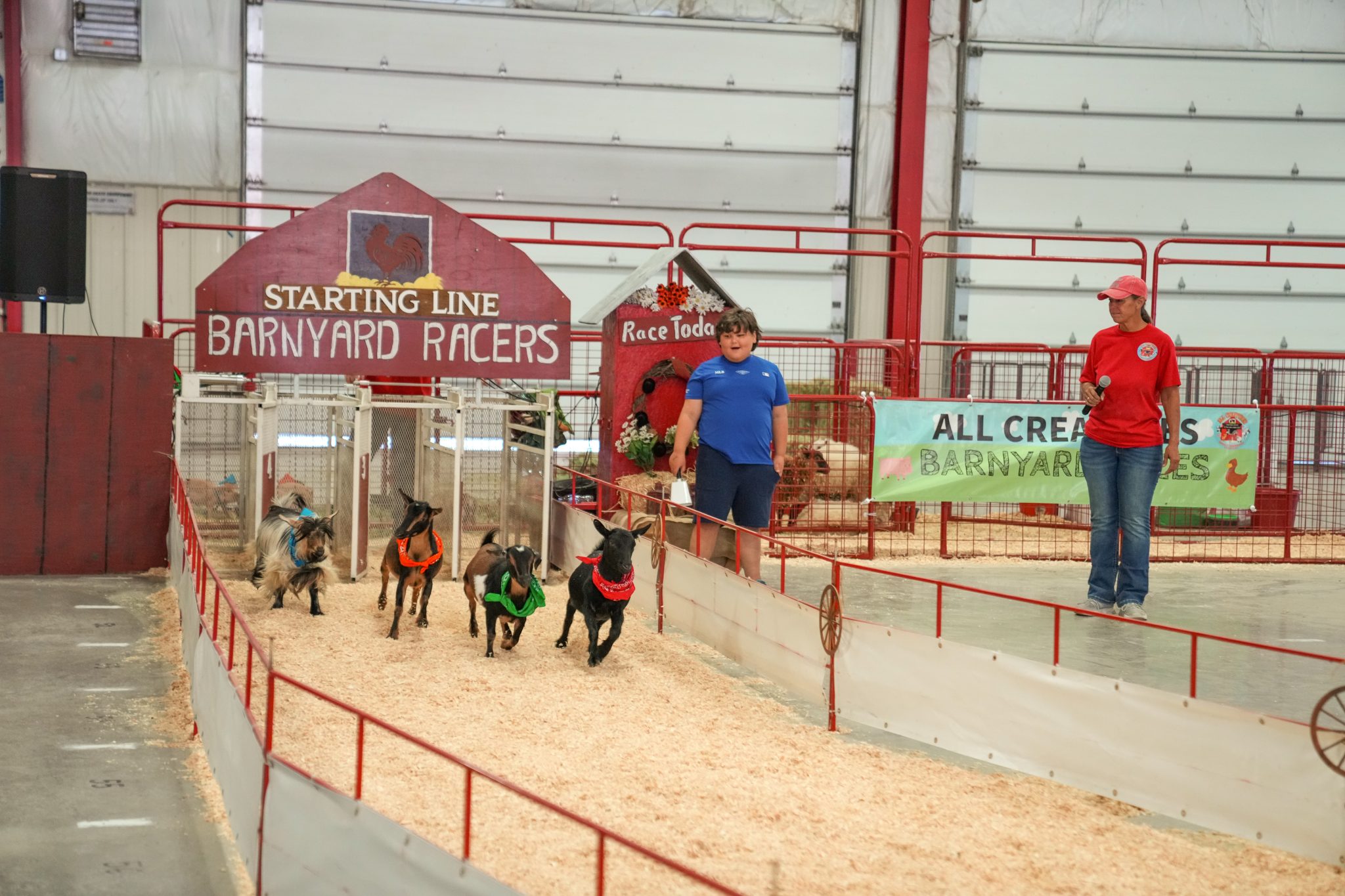 Barnyard Races - Big Sky Country State Fair
