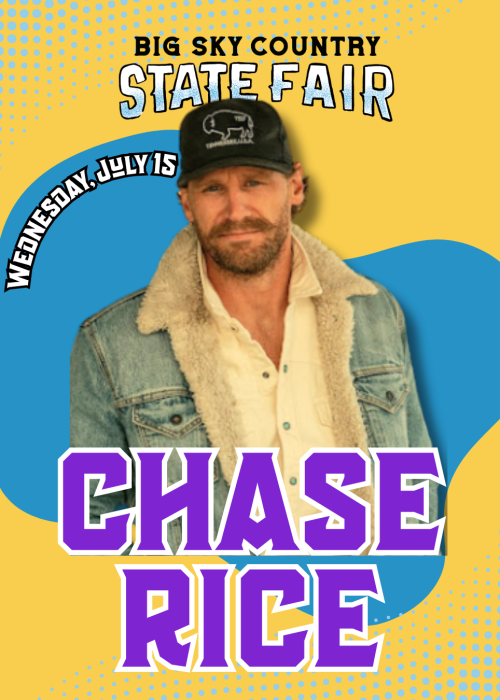 Wednesday Night Artist